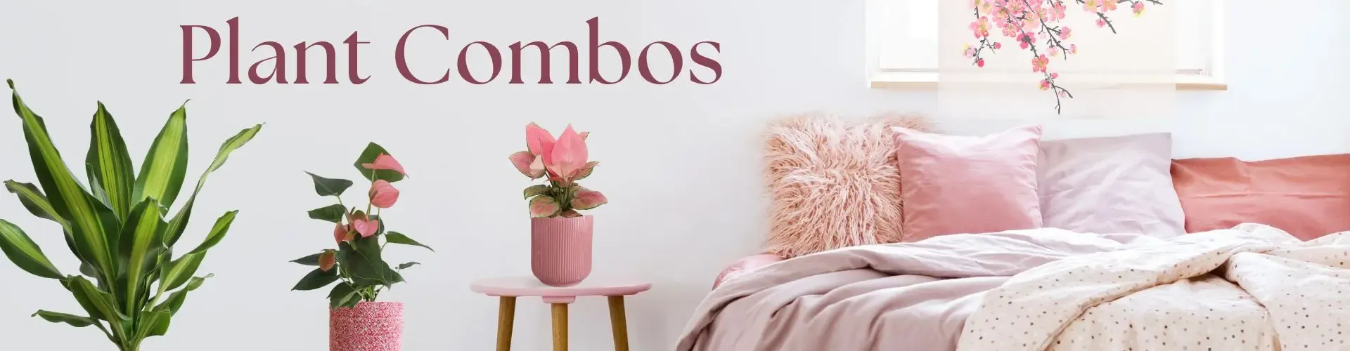 imgi_3_buy-plant-combos-online-India-indoor-plants-bundles
